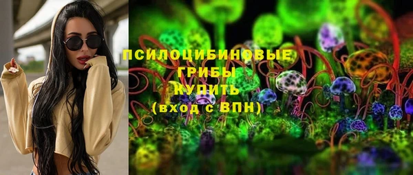 круглые Алексеевка