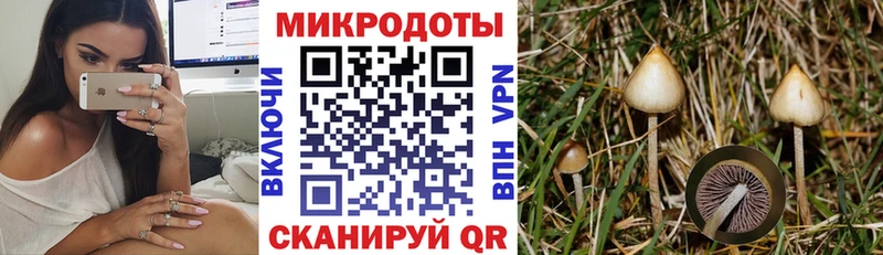 что такое   кракен ССЫЛКА  Галлюциногенные грибы GOLDEN TEACHER  Гусь-Хрустальный 